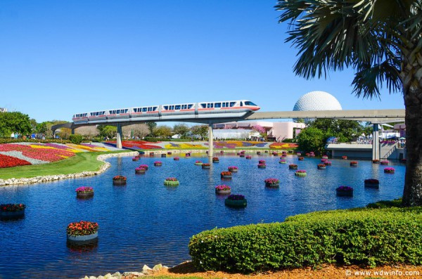 WDWINFO-Epcot-Flower-Garden-2014-011 – WDWINFO.COM 4 reasons Disney still stands apart from Universal WDWINFO-Epcot-Flower-Garden-2014-011 WDWINFO-Epcot-Flower-Garden-2014-011