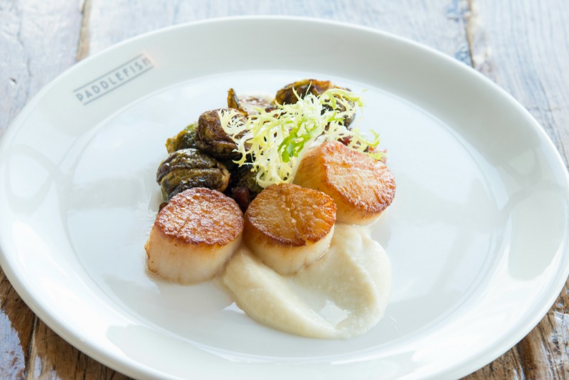 Scallops, Brussel Sprouts and Cauliflower Puree