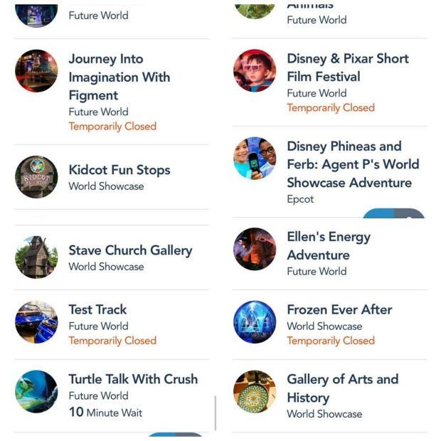 Epcot Collage