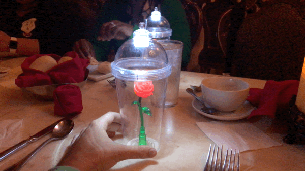 IMG_2670 – WDWINFO.COM Gaston’s Tavern Now Offering the Enchanted Rose Souvenir Cup The DIS IMG_2670 IMG_2670