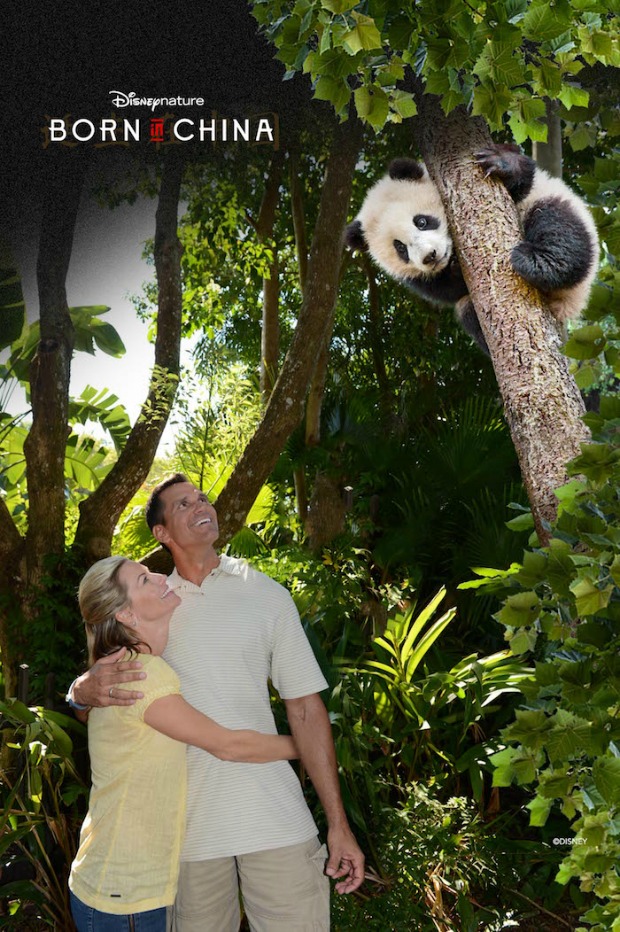 dakms49667148 – WDWINFO.COM New PhotoPass Magic Shots Available at Disney’s Animal Kingdom dakms49667148 dakms49667148