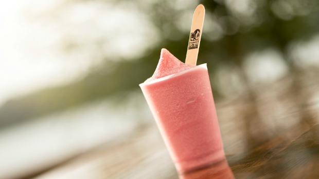 BerryWhip0530 – WDWINFO.COM Disney Parks Introduces New Sweet Treats for June 2017 BerryWhip0530 BerryWhip0530