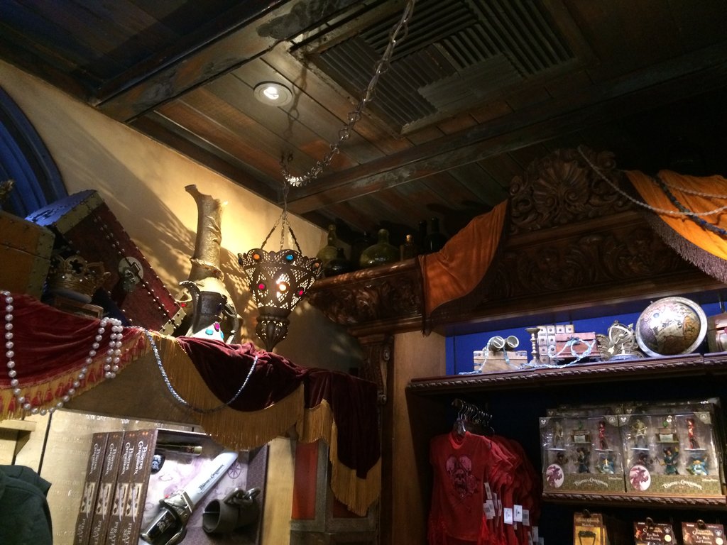 Ceiling – WDWINFO.COM No Ride Day at Disneyland! Ceiling Ceiling