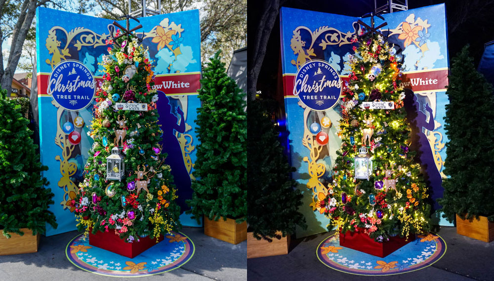 snow-x – WDWINFO.COM Photo Comparison: Disney Springs Christmas Tree Trail, Day and Night snow-x snow-x