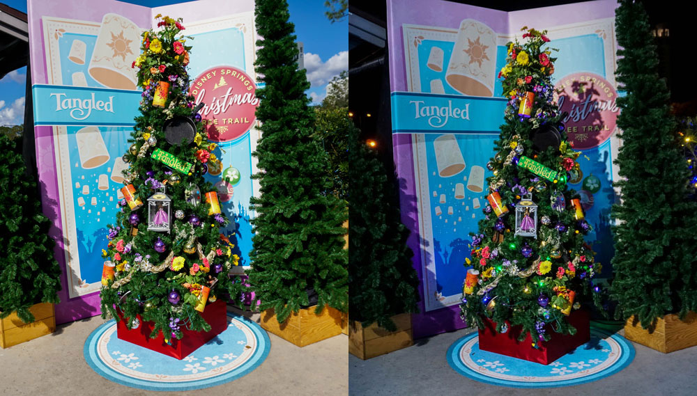 tangled-x – WDWINFO.COM Photo Comparison: Disney Springs Christmas Tree Trail, Day and Night tangled-x tangled-x