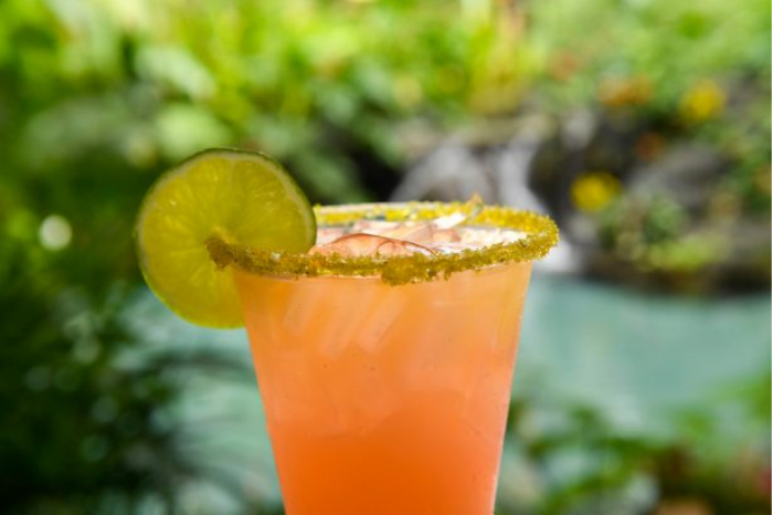 Margarita1805 – WDWINFO.COM Salt or No Salt? It’s National Margarita Day! Margarita1805 Margarita1805