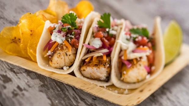 Caribbean-Tacos-at-Spyglass-Grill-at-Disneys-Caribbean-Beach-Resort