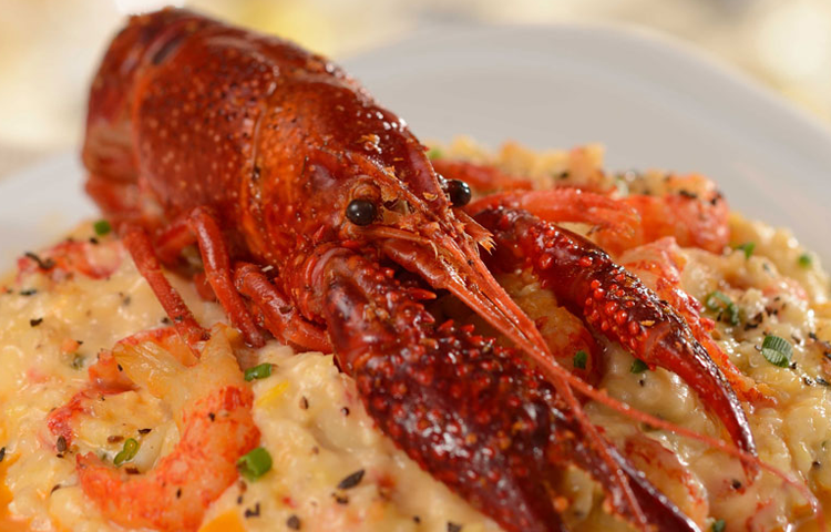 crab – WDWINFO.COM Specialty Foods Announced for Star Wars: Galactic Nights on May 27 crab crab