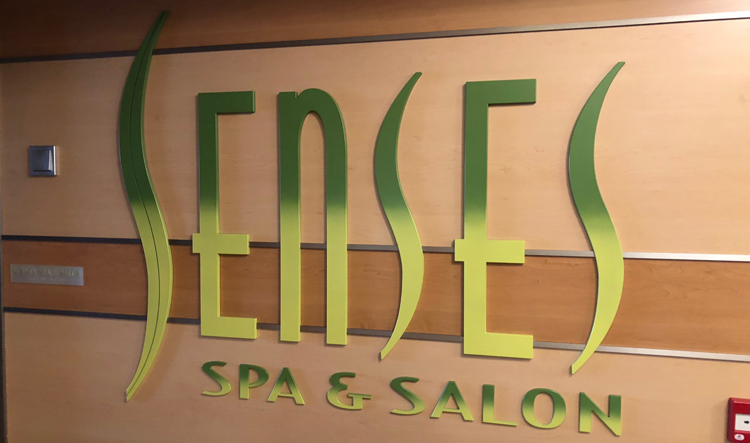 senses – WDWINFO.COM Five Must-Do’s on Your Disney Cruise senses senses