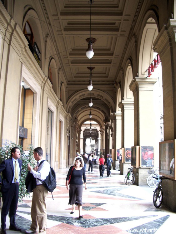 IMGP0941
