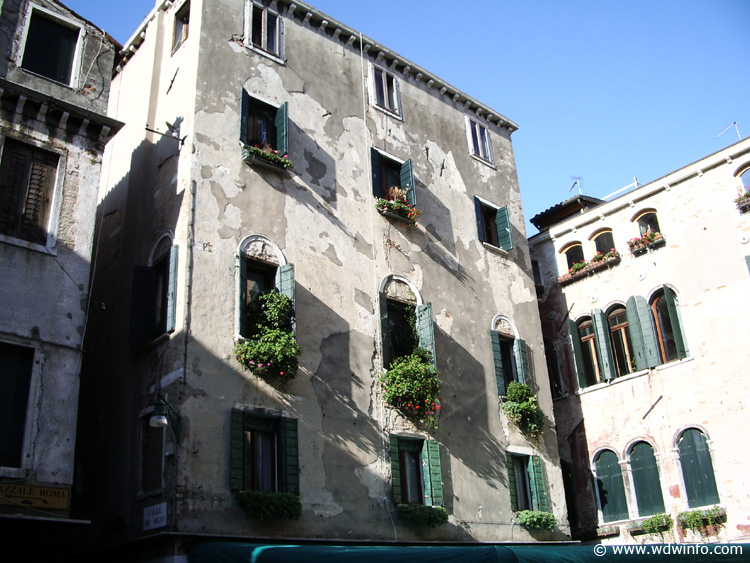 IMGP1135