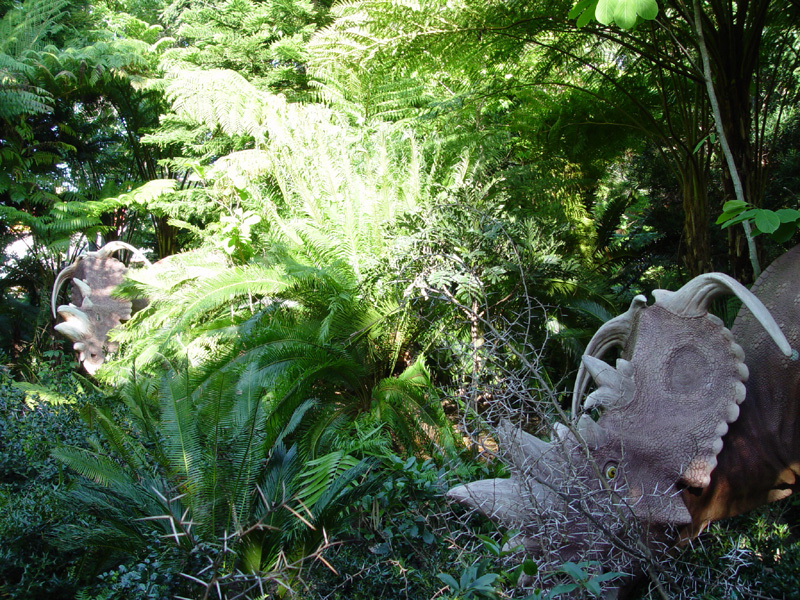 DSC00078