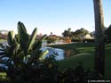 Caribbean-Beach-81