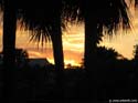 Caribbean-Beach-87