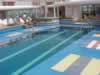 adult_pool1.jpg (70,387 bytes)