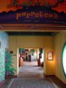 Parrot-Cay-1
