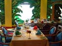 Parrot-Cay-2
