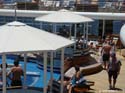 QC_Pool-04a