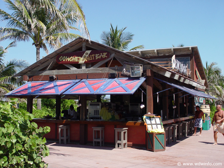 Castaway_conchedout_00