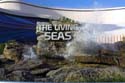 LivingSeas_01