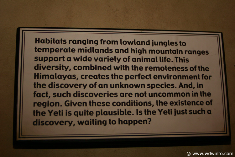 Queue everest 181