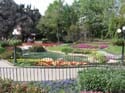 FlowerGarden076