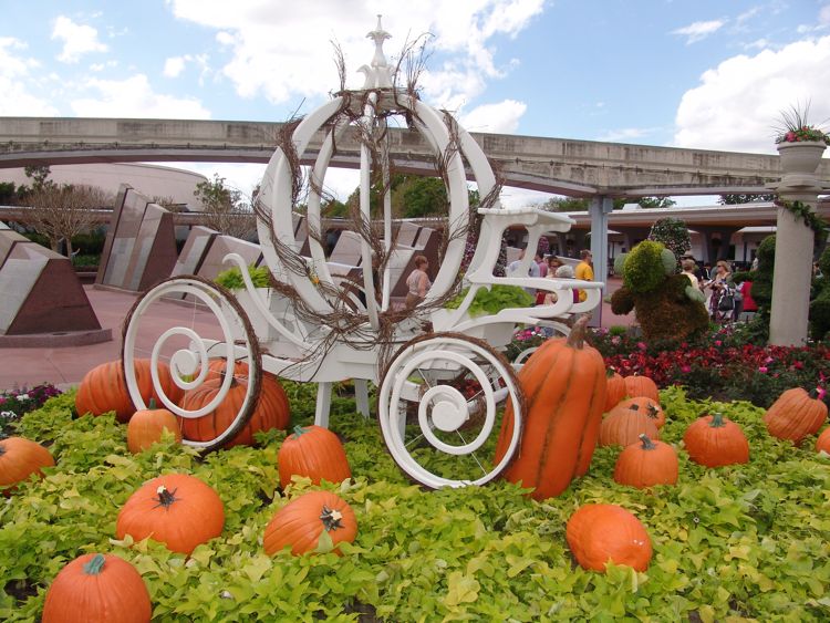Flower-Garden-Festival-11