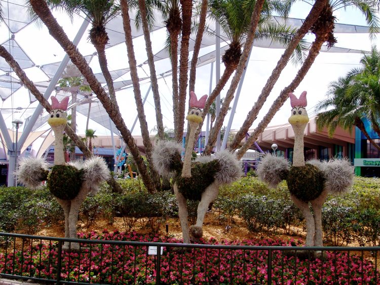 Flower-Garden-Festival-13