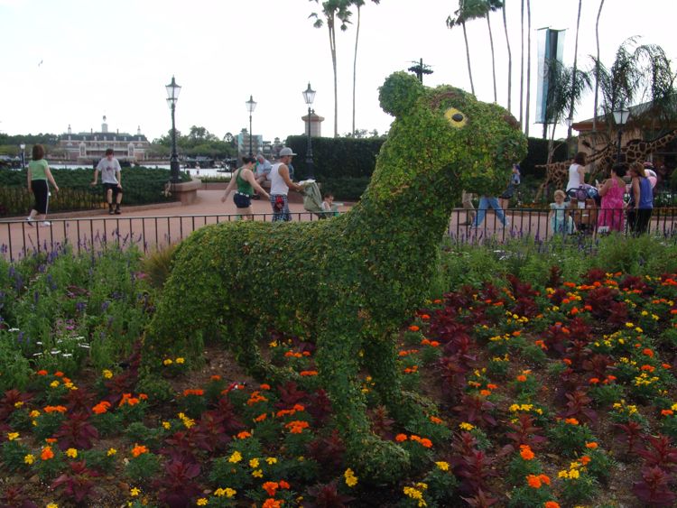 Flower-Garden-Festival-69