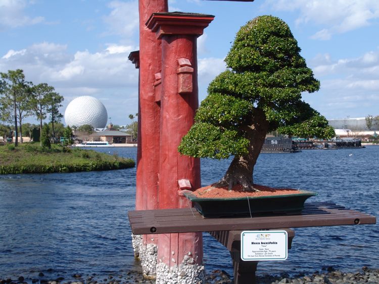 Flower-Garden-Festival-94