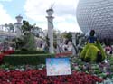 Flower-Garden-Festival-07