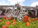 Flower-Garden-Festival-11