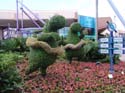 Flower-Garden-Festival-19