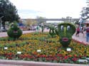 Flower-Garden-Festival-24