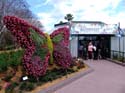 Flower-Garden-Festival-26