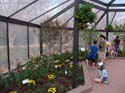 Flower-Garden-Festival-27