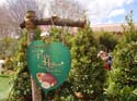 Flower-Garden-Festival-32