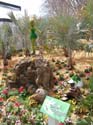 Flower-Garden-Festival-34
