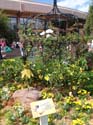 Flower-Garden-Festival-35