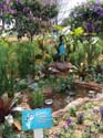 Flower-Garden-Festival-39