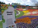 Flower-Garden-Festival-43