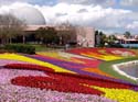 Flower-Garden-Festival-47