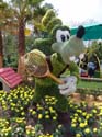 Flower-Garden-Festival-50