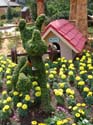 Flower-Garden-Festival-51