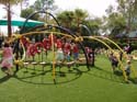Flower-Garden-Festival-54