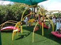 Flower-Garden-Festival-56