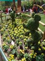 Flower-Garden-Festival-58