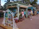 Flower-Garden-Festival-75