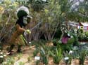 Flower-Garden-Festival-83