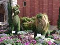 Flower-Garden-Festival-90
